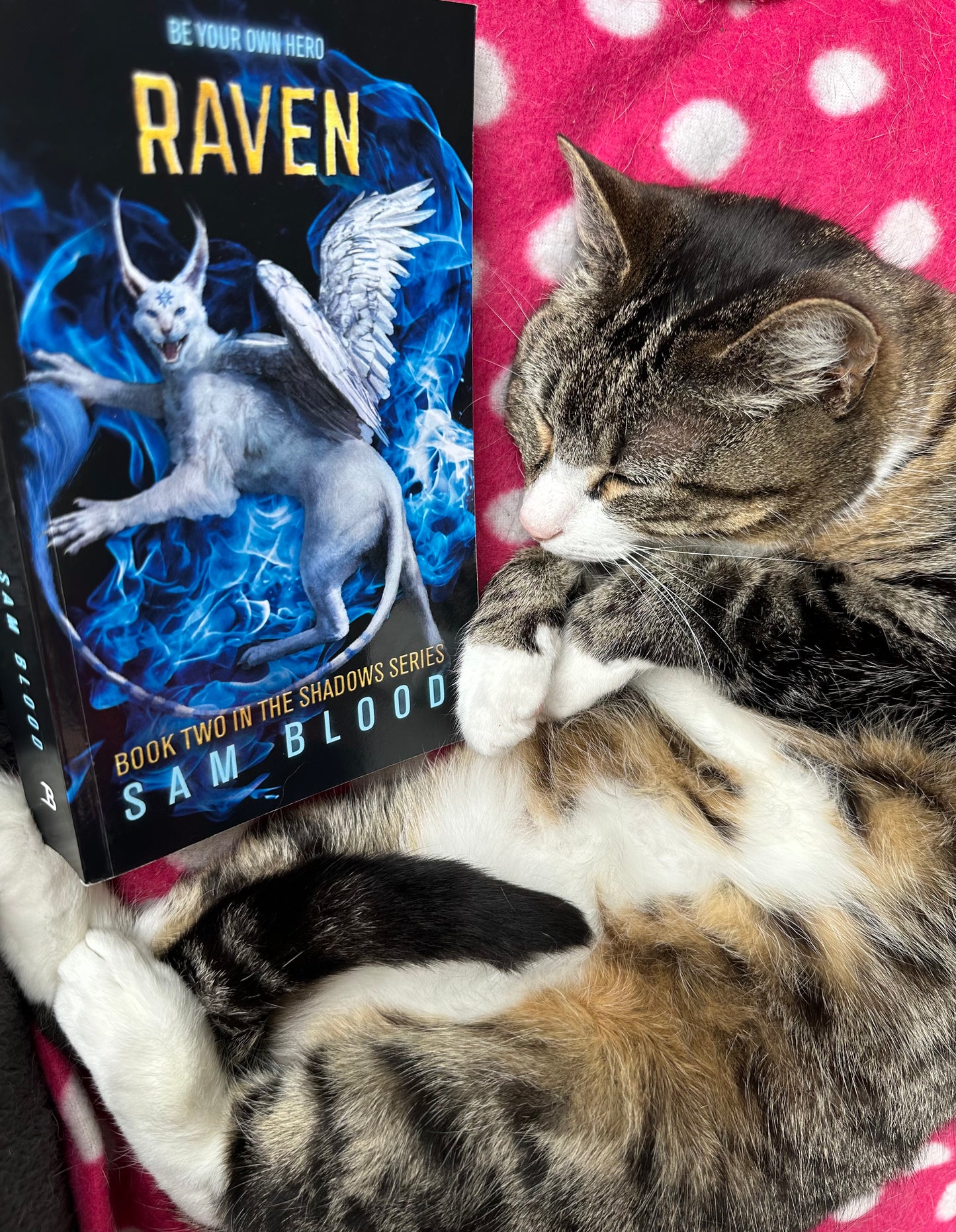 Raven (Book Two in the Shadows Series)